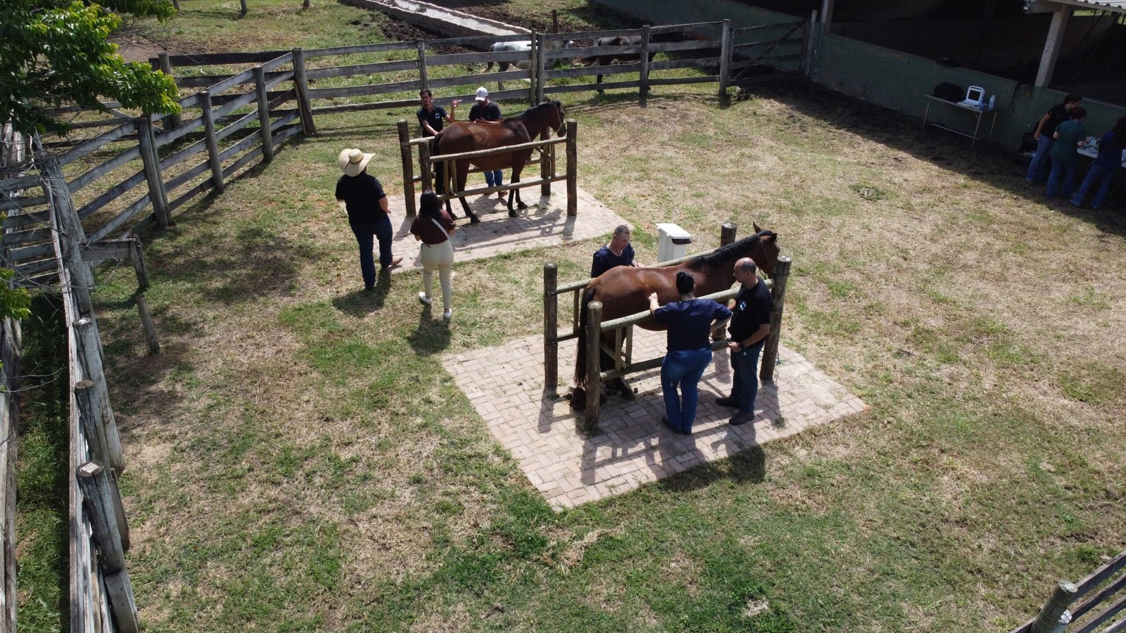 Fazenda escola para instituições